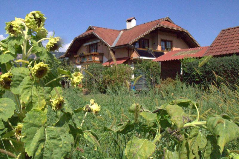 Ferienwohnung Galerie 7 Riegersdorf المظهر الخارجي الصورة